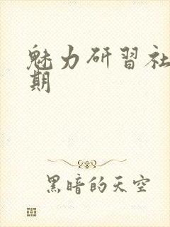 魅力研习社43期