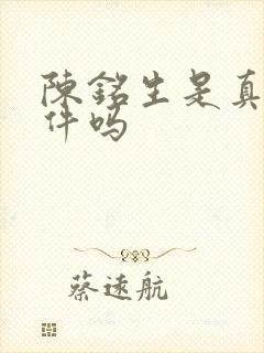 陈铭生是真实事件吗