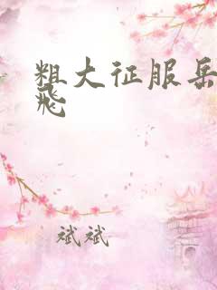 粗大征服岳女双飞