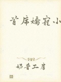 首席娇宠小情人