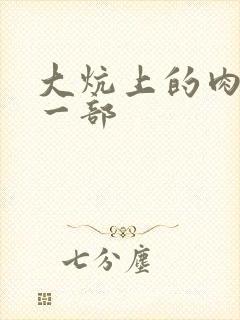 大炕上的肉伦第一部