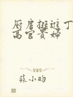 厨房挺进丁字裤高官贵妇