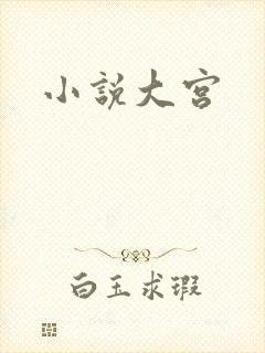 小说大宫