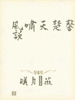 风啸天楚馨月小说