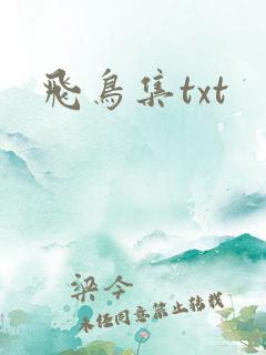 飞鸟集txt
