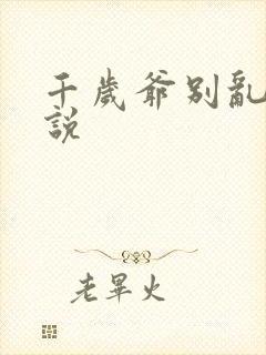 千岁爷别乱来小说