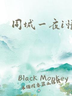 同城一夜i情