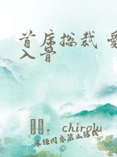 首席总裁 爱你入骨