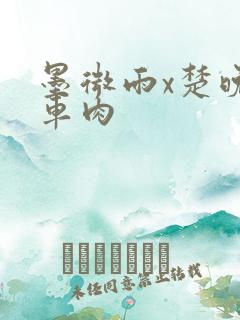 墨微雨x楚晚宁车肉