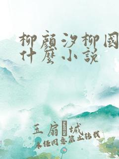 柳颜汐柳国安是什么小说