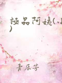 极品阿姨(小说)