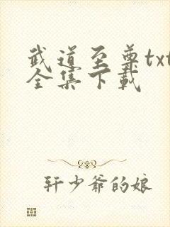 武道至尊txt全集下载