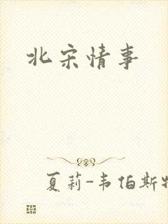 北宋情事