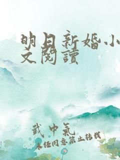 明日新婚小说全文阅读