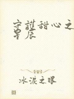 守护甜心之暗夜星辰