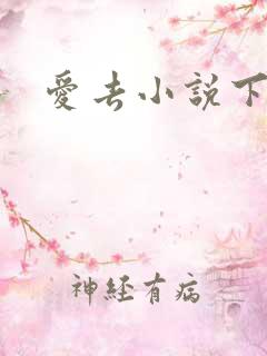 爱去小说下载网