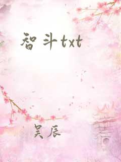 智斗txt