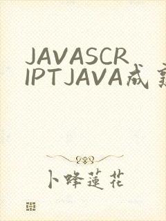 JAVASCRIPTJAVA成熟亲子