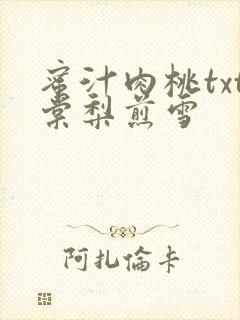 蜜汁肉桃txt棠梨煎雪