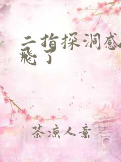 二指探洞感觉要飞了