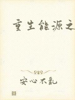 重生能源之王