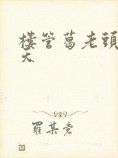 楼管葛老头的春天