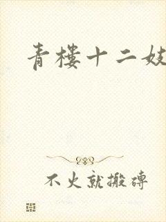 青楼十二妓