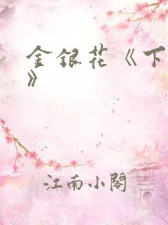 金银花《下厨房》