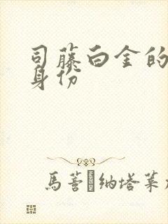 司藤白金的真实身份