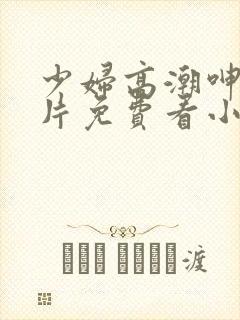 少妇高潮呻吟A片免费看小说