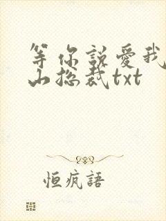 等你说爱我之冰山总裁txt