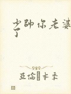 少帅你老婆又跑了