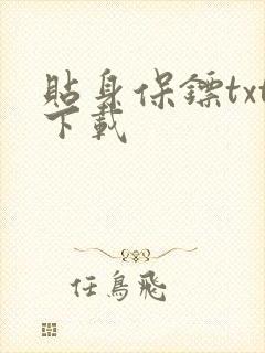 贴身保镖txt下载