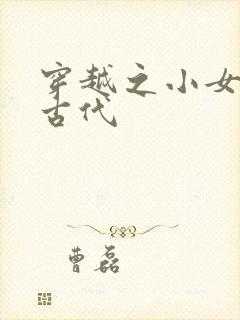 穿越之小女子闹古代