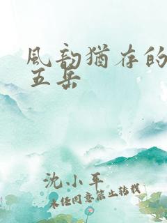 风韵犹存的四十五岳