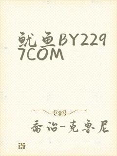 鱿鱼BY2297COM