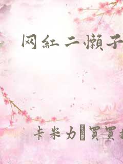 网红二懒子车祸