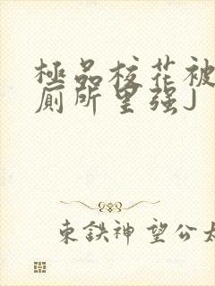 极品校花被拉到厕所里强J