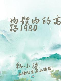 肉体内的高速公路1980