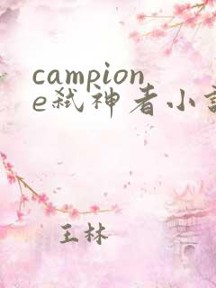 campione弑神者小说