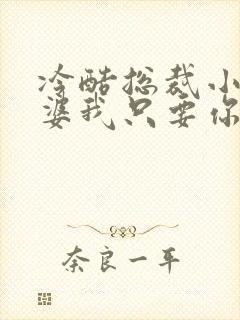 冷酷总裁小小老婆我只要你