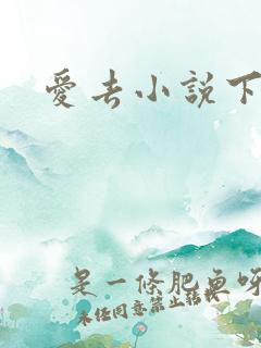 爱去小说下载网