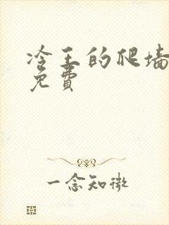 冷王的爬墙丑妃免费