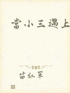 当小三遇上小四