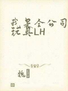 我是全公司发泄玩具LH