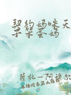 契约妈咪天才儿子笨蛋妈