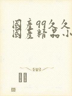 国产99久久久国产精品小说