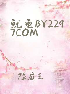 鱿鱼BY2297COM