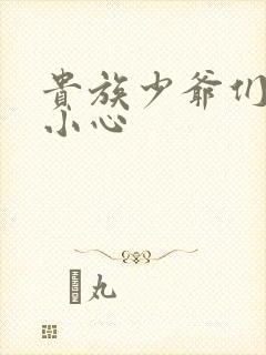 贵族少爷们 请小心