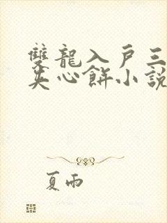 双龙入户三人行夹心饼小说